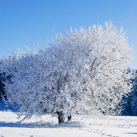 Neubau, Bergpanorama, Gute Lage, Tiefgarage Appartamento *